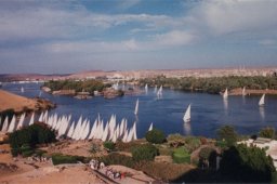 60